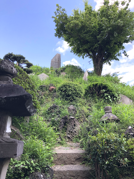 流山浅間神社境内裏にある富士塚