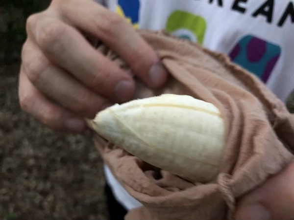 カブトムシ/クワガタ探し：バナナトラップの作り方